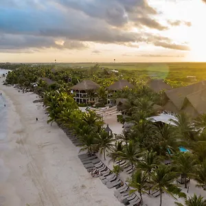 Lirios Tulum